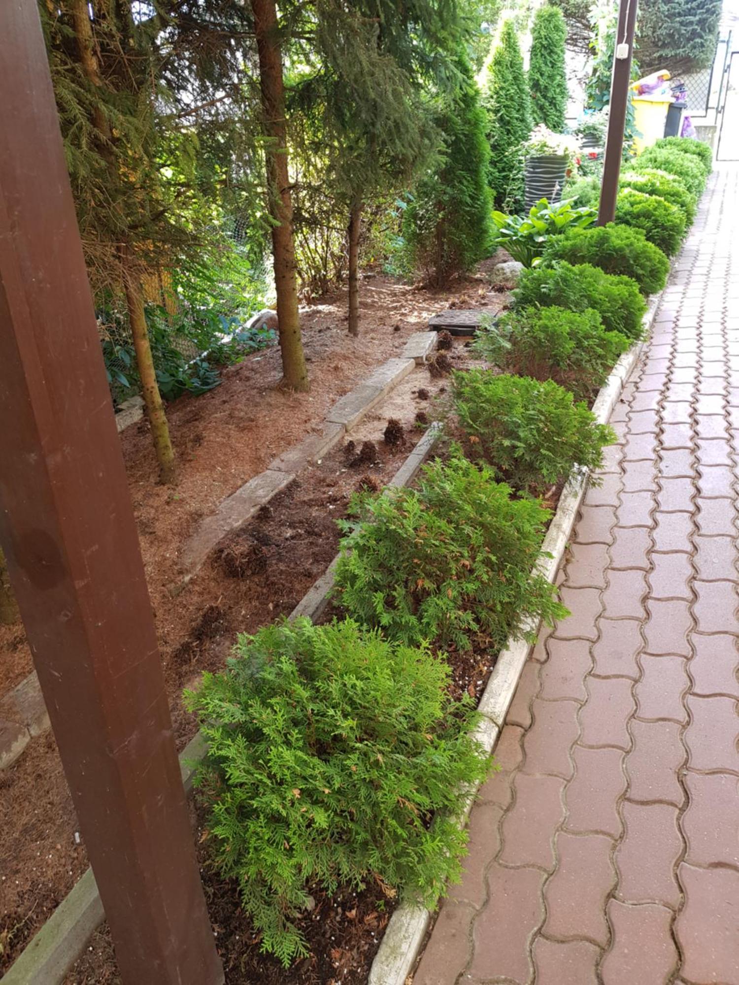 Apartamenty, Pokoje, Noclegi Pracownicze " Skarpa" Wilkasy Dış mekan fotoğraf